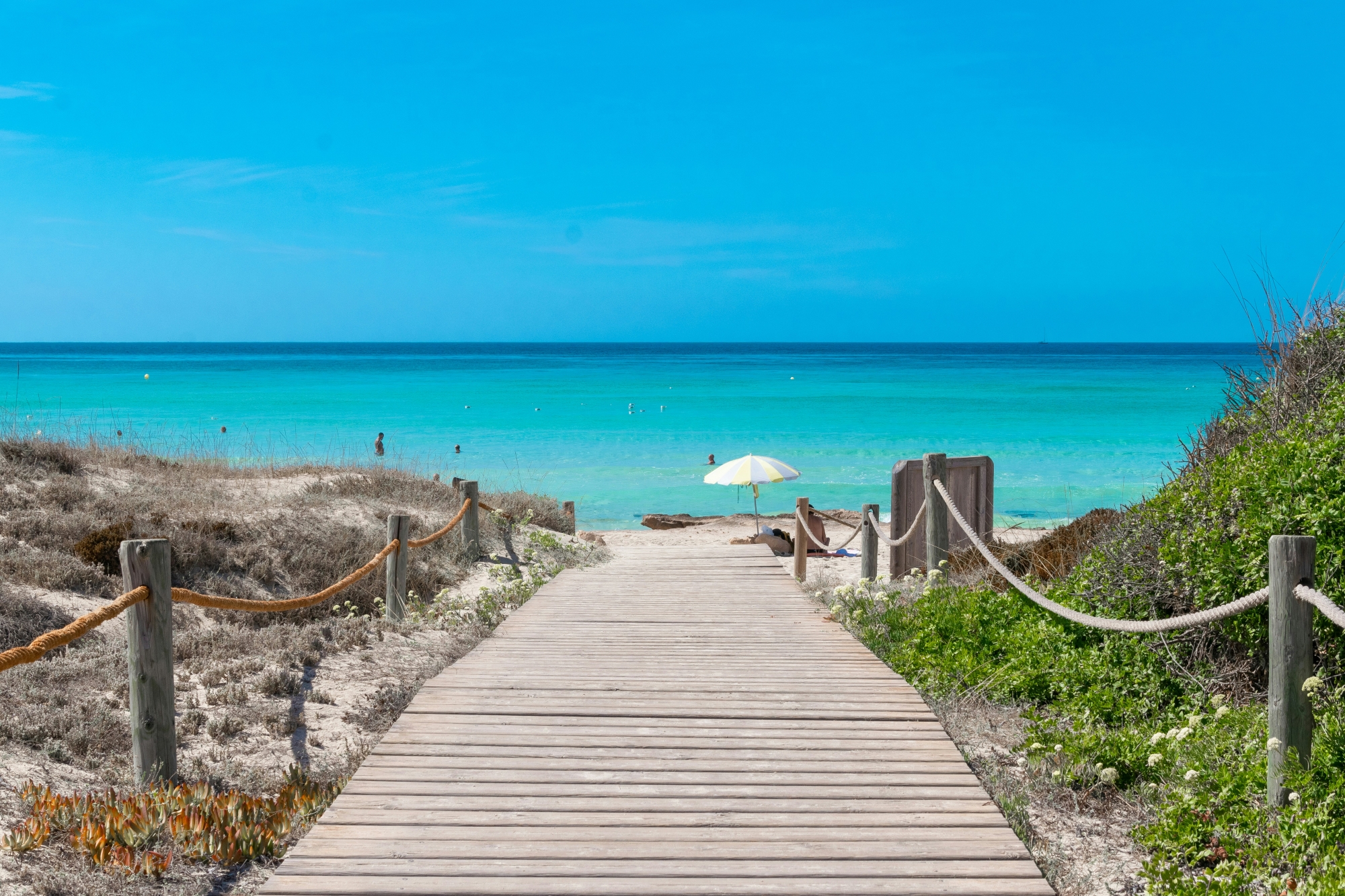 Un Oasis junto al mar
